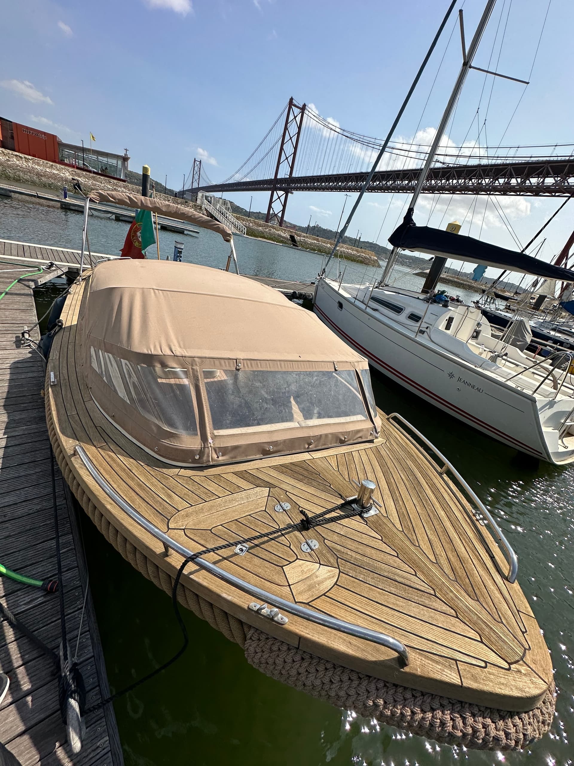 Lisbon Coffee Cruise – Luxury Boat, Pastel de Nata & Dolphins - Photo 8